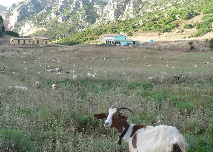 Alloggio per agriturismo Sa Rocca Iglesias